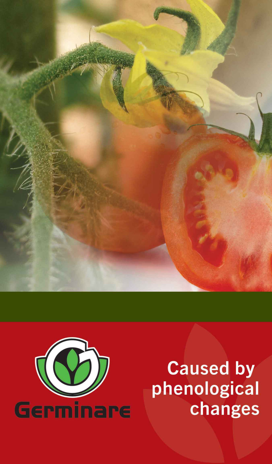 Caused by phenological changes