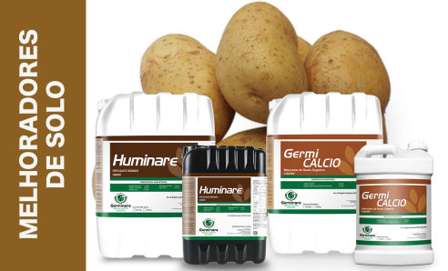 Melhoradores de solo