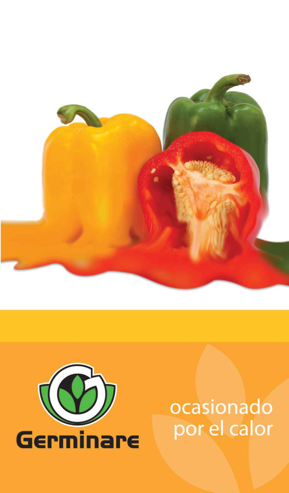 Ocasionado por calor