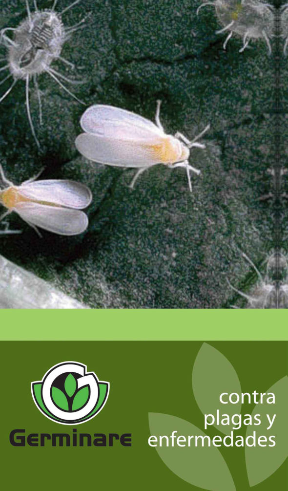 Contra plagas y enfermedades