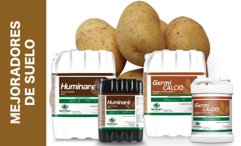 Mejoradores de suelo